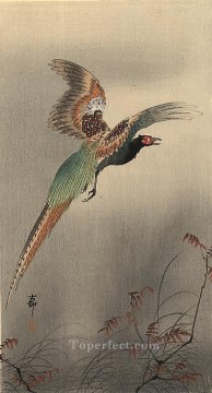  Koson Canvas - pheasant in flight Ohara Koson Japanese